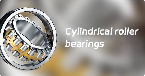 Cylindrical roller bearings 2
