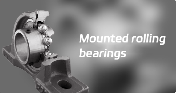 Mounted rolling bearings