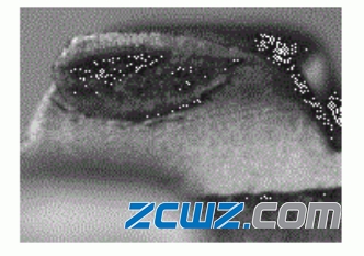 圓柱滾子軸承保持架鎖爪變形引起的軸承故障