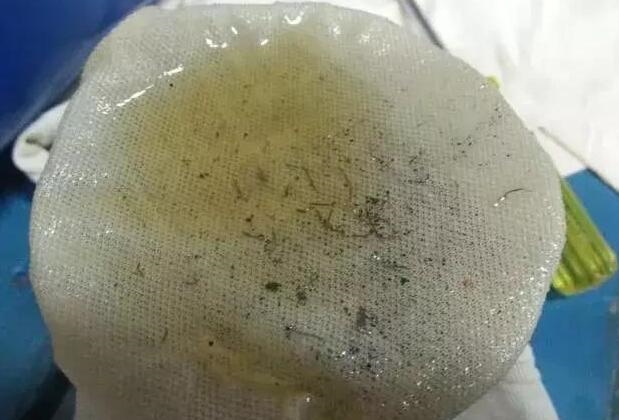 船舶艉軸承高溫問題及其操作注意事項