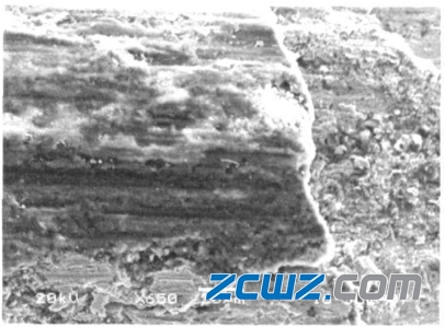 滾動(dòng)軸承滾道表面黑色點(diǎn)狀缺陷特點(diǎn)及原因