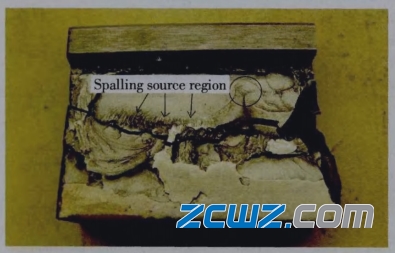 雙列圓錐滾子軸承失效實例圖分析