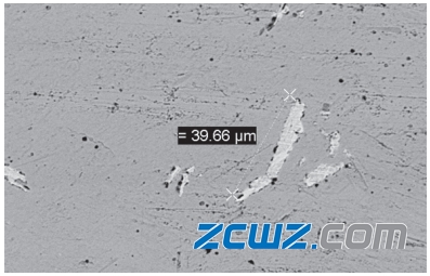 發(fā)動機主軸軸承主要損傷形式及原因