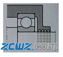 滾動(dòng)軸承密封結(jié)構(gòu)方式及選擇概述