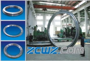 轉(zhuǎn)盤軸承常見載荷形式種類